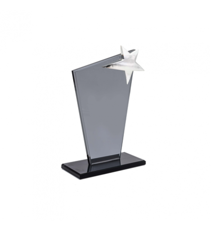 HZ-242 KRİSTAL PLAKET YILDIZLI